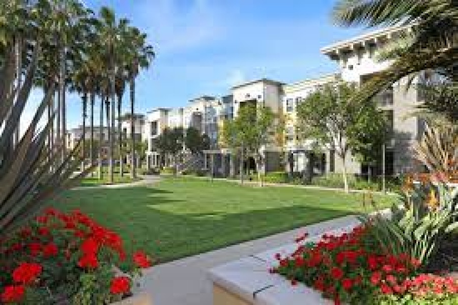 - AvenueWest Phoenix