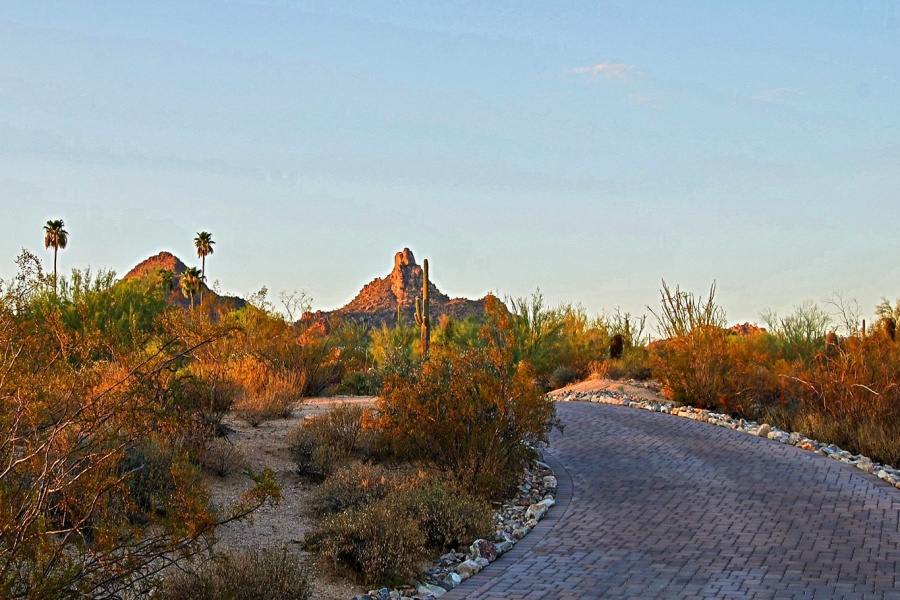 9715 E Mariposa Grande, Scottsdale, Arizona, United States 85255, 4 Bedrooms Bedrooms, ,3.5 BathroomsBathrooms,House,Furnished,Hacienda at Dobson Ranch,E Mariposa Grande,2405